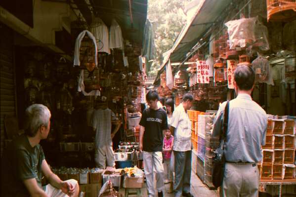 Bird's Market