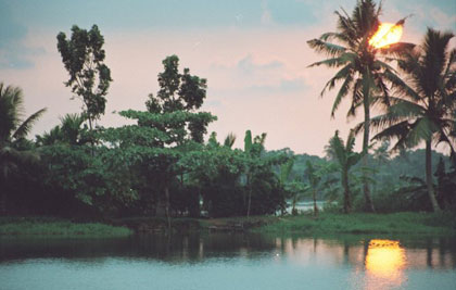 Sunset in the Backwaters