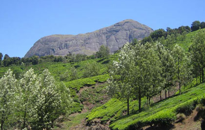 Munnar Hill Station