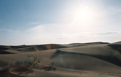 The Thar Desert